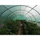 Solar de gradina 4x10 m, teava galvanizata