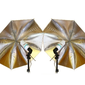 Set de iluminare Massa, 5500k, Alb, 2 bucati Set de iluminare Massa, 5500k, Alb, 2 bucati