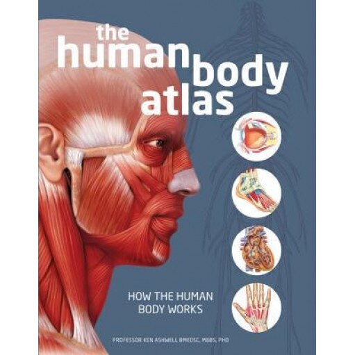 The Human Body Atlas: How the Human Body Works, Global Book Publishing (Author)