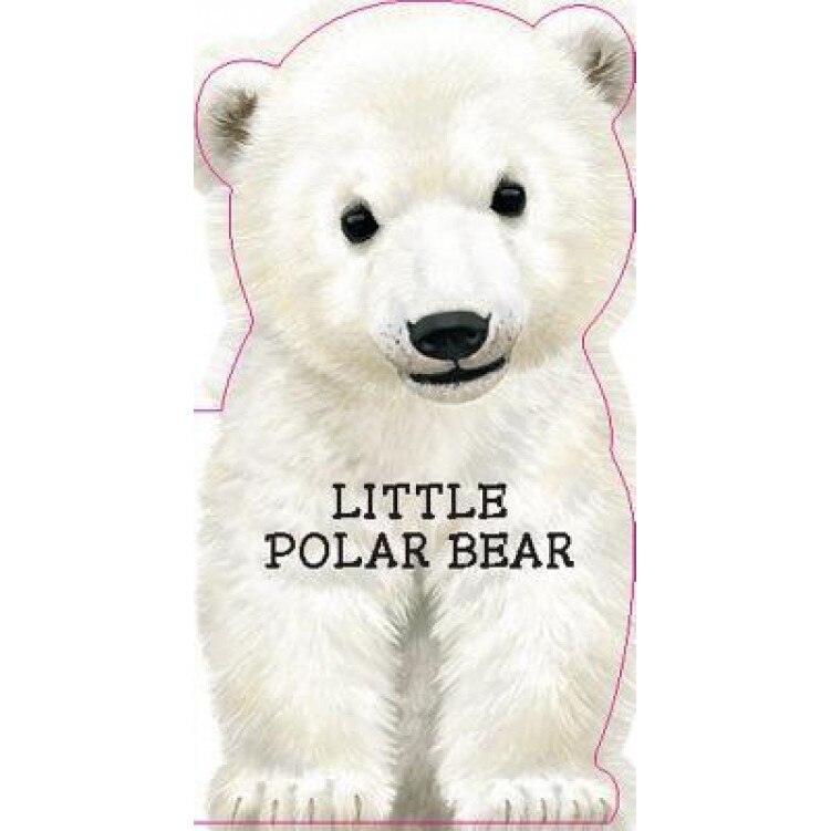 Little Polar Bear, Laura Rigo (Illustrator)