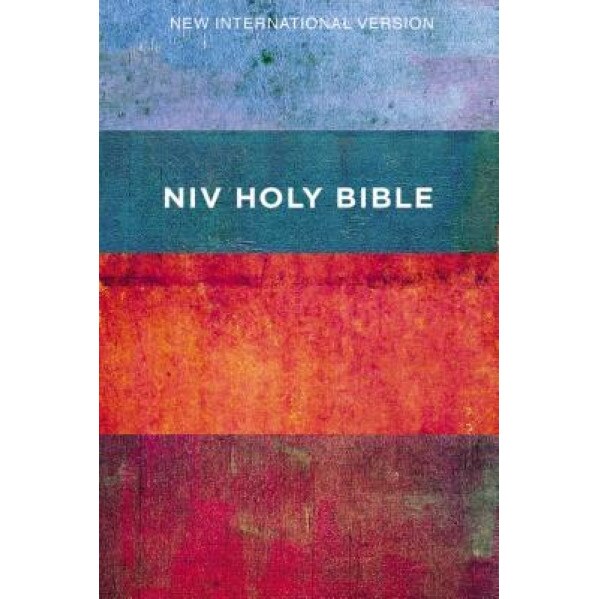 NIV, Value Outreach Bible, Paperback, Zondervan (Author)