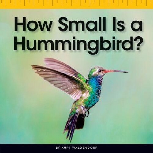 How Small Is a Hummingbird?, Kurt Waldendorf (Author)