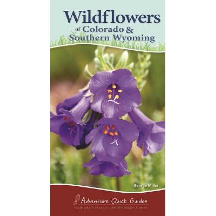 Wildflowers of Colorado & Southern Wyoming, George Miller (Author)
