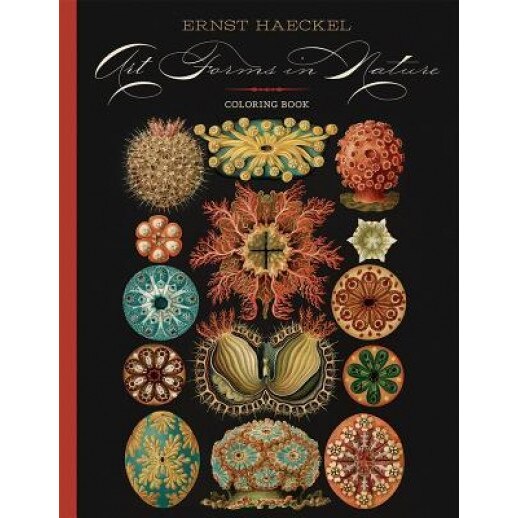 Ernst Haeckel: Art Forms in Nature: Coloring Book, Ernst Haeckel (Illustrator)