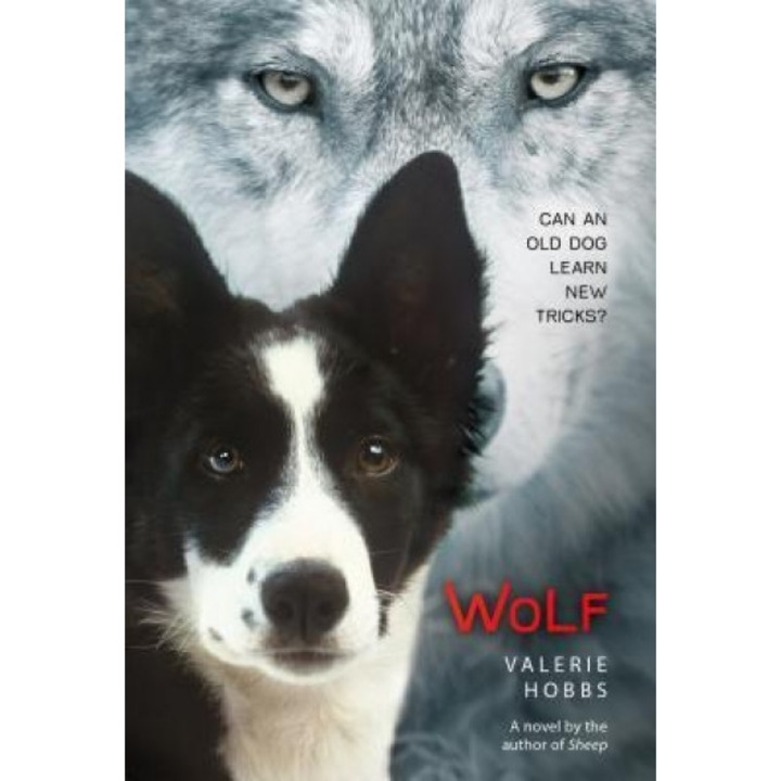 Wolf, Valerie Hobbs (Author)