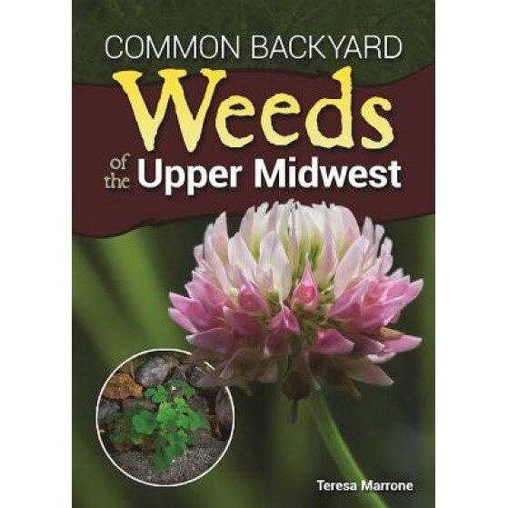 Common Backyard Weeds of the Upper Midwest, Teresa Marrone (Author)