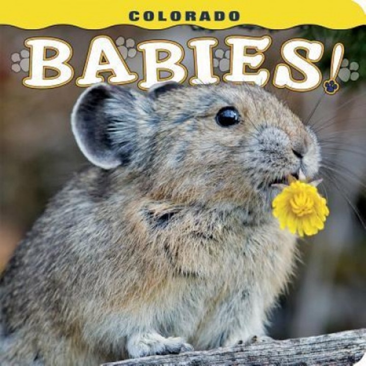 Colorado Babies!, Steph Lemann (Author)