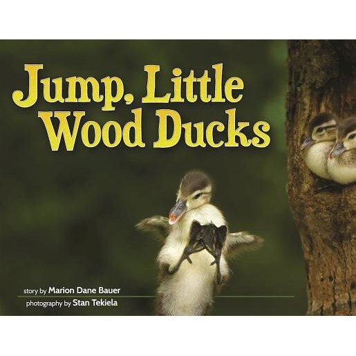 Two Wood Ducks Sitting in a Tree, Marion Dane Bauer (Author)