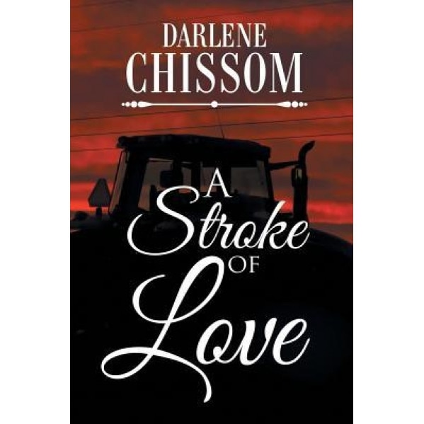 A Stroke of Love, Darlene Chissom (Author)