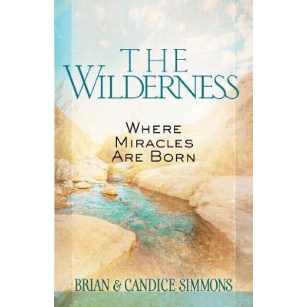 The Wilderness: Where Miracles Are Born, Brian Simmons (Author)