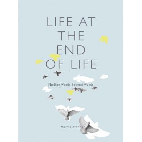 Life at the End of Life: Finding Words Beyond Words, Marcia Brennan (Author)