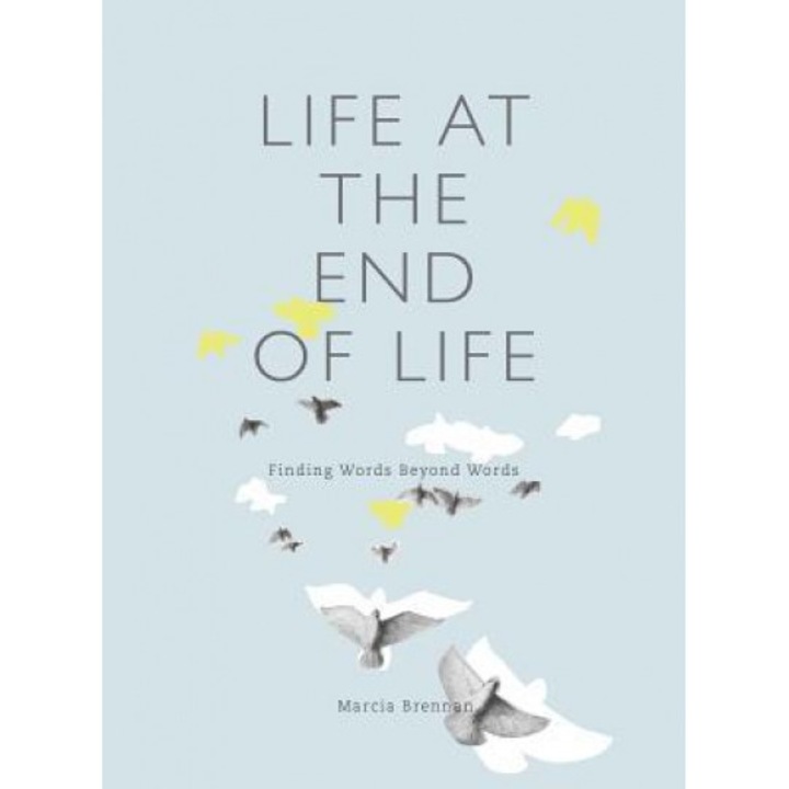 Life at the End of Life: Finding Words Beyond Words, Marcia Brennan (Author)