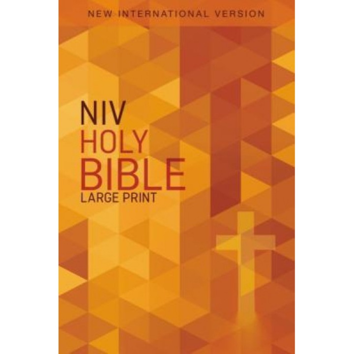 NIV, Outreach Bible, Large Print, Paperback, Zondervan (Author)
