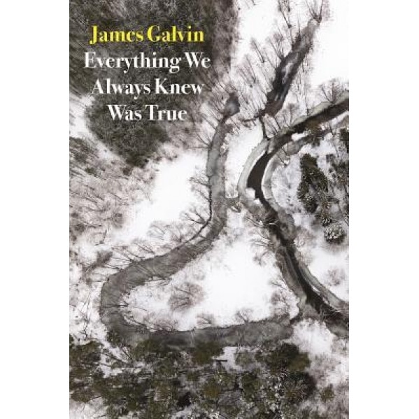Everything We Always Knew Was True, James Galvin (Author)