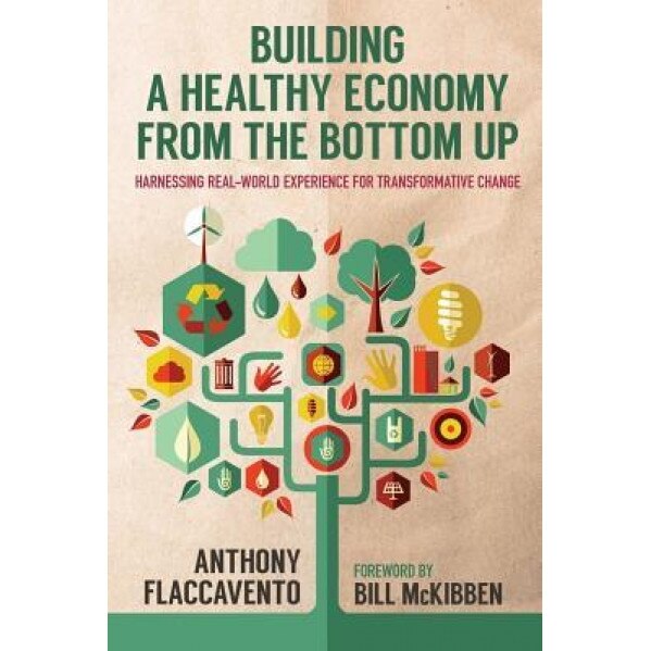 Building a Healthy Economy from the Bottom Up: Harnessing Real-World Experience for Transformative Change - Anthony Flaccavento (Author)