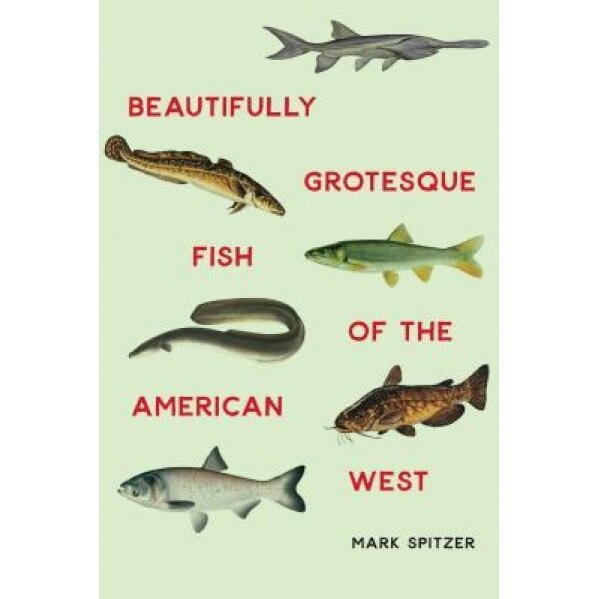 Beautifully Grotesque Fish of the American West, Mark Spitzer (Author)