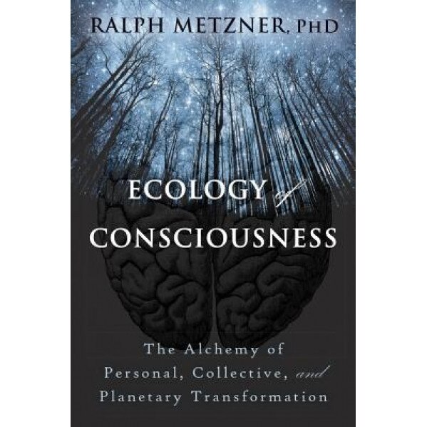 The Ecology of Consciousness: The Alchemy of Personal, Collective, and Planetary Transformation - Ralph Metzner (Author)