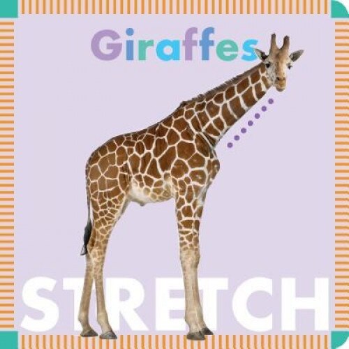 Giraffes, Rebecca Glaser (Author)