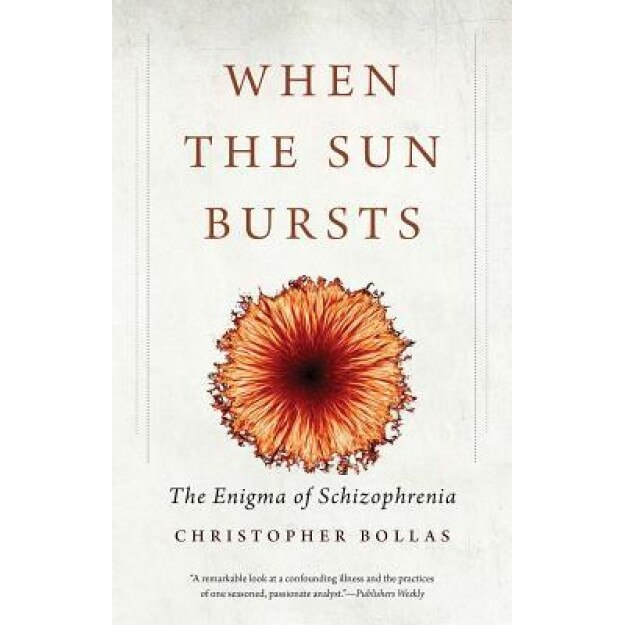 When the Sun Bursts: The Enigma of Schizophrenia - Christopher Bollas (Author)