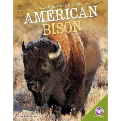 American Bison, Anita Yasuda (Author)