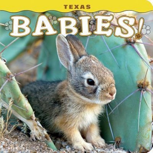 Texas Babies!, Steph Lehmann (Author)