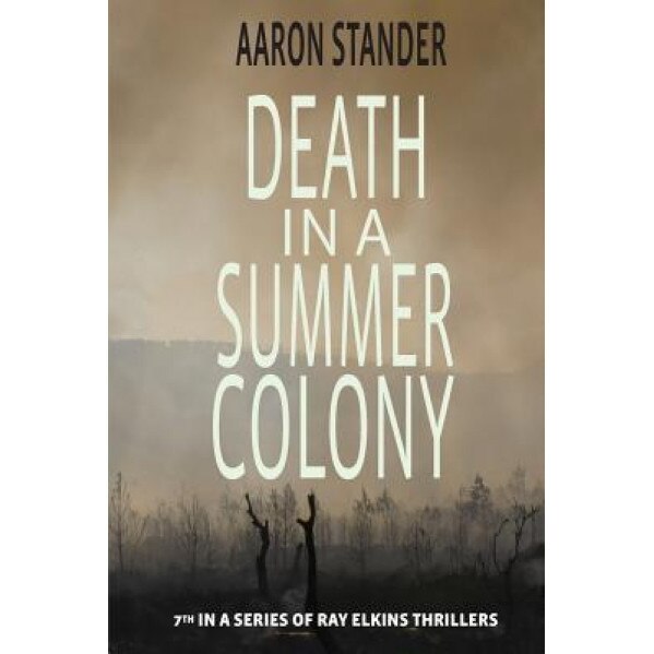 Death in a Summer Colony, Aaron Stander (Author)