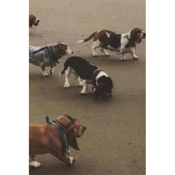 Interglacials, Dalton Day (Author)