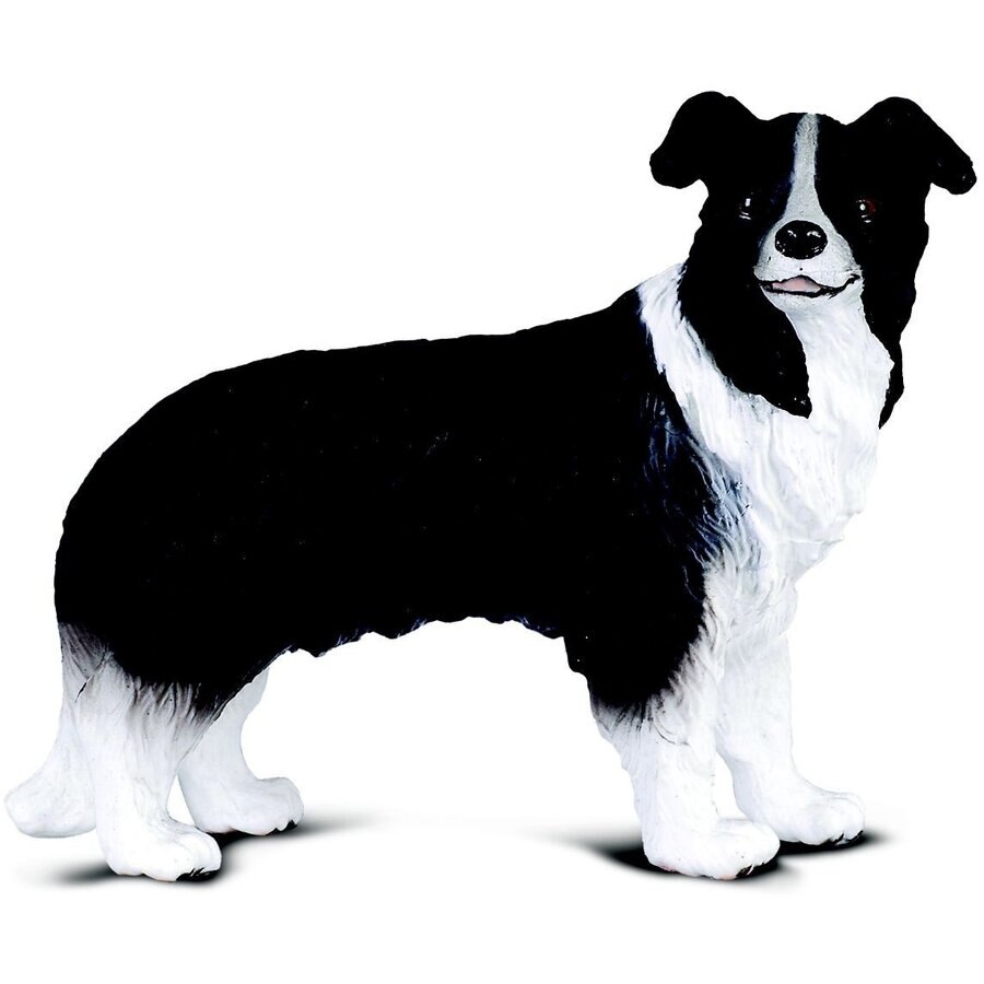 Figurina Border Collie, Collecta Multicolor