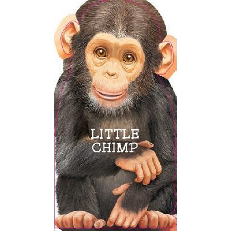 Little Chimp, Laura Rigo (Illustrator)