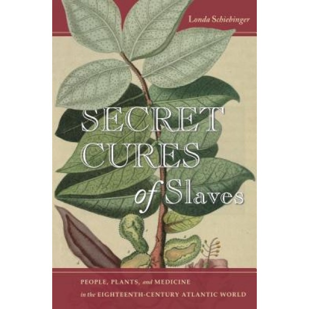 Secret Cures of Slaves: People, Plants, and Medicine in the Eighteenth-Century Atlantic World - Londa Schiebinger (Author)