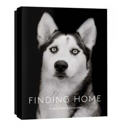 Finding Home: 12 Notecards & Envelopes, Traer Scott (Photographer)