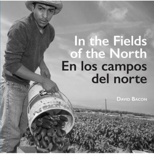In the Fields of the North/En Los Campos del Norte, David Bacon (Author)