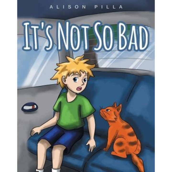 It's Not So Bad, Alison Pilla (Author)