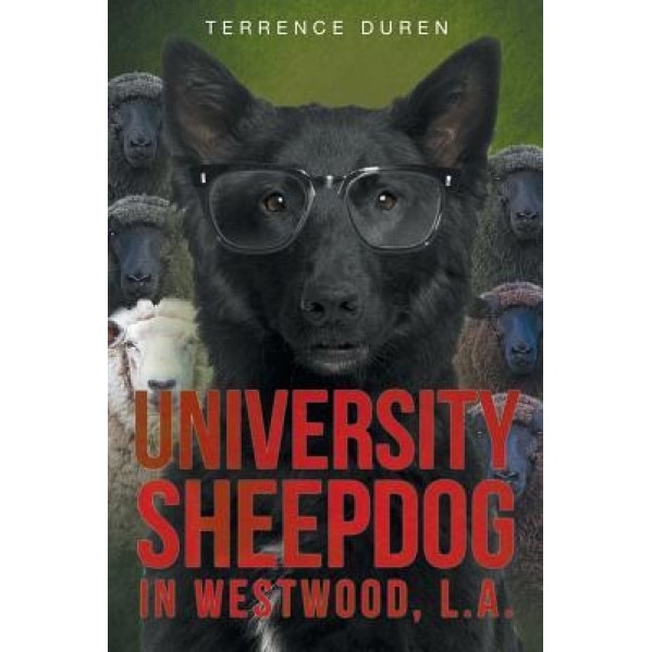 University Sheepdog in Westwood, L.A., Terrence Duren (Author)