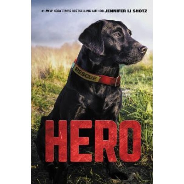 Rescue Dog, Jennifer Li Shotz (Author)