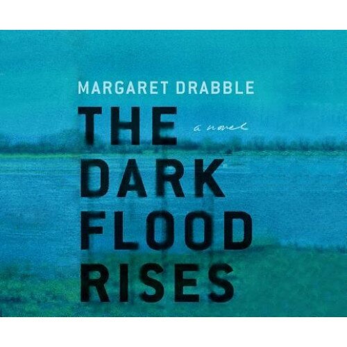 The Dark Flood Rises, Margaret Drabble (Author)