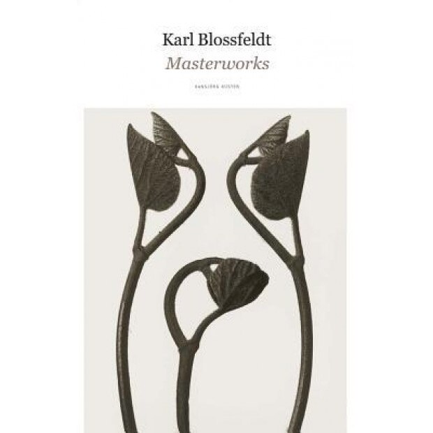 Karl Blossfeldt: Masterworks, Karl Blossfeldt (Photographer)