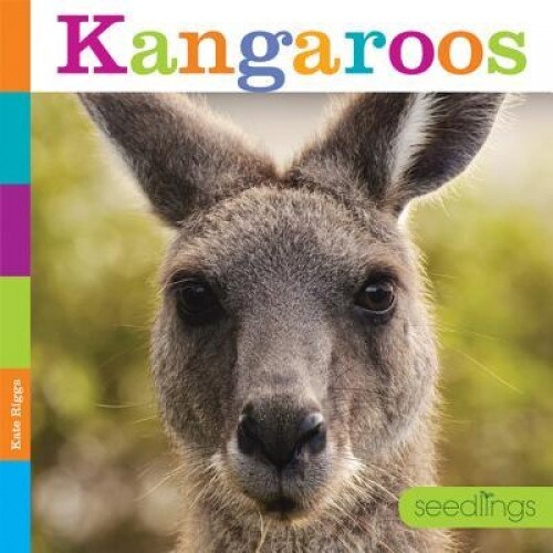Kangaroos, Quinn M. Arnold (Author)