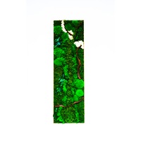 tablou de lemn din licheni si muschi conservati splendor verde 80x25 cm imagen 10_0_
0