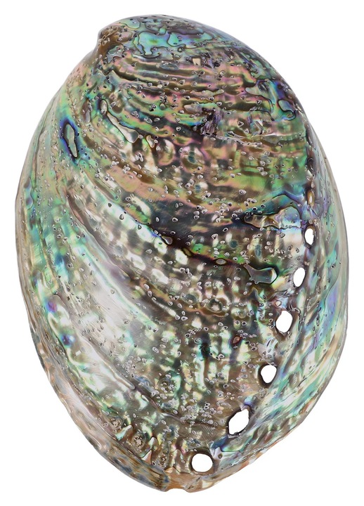 ZYBLSSBB, scoica abalone naturala cu luciu sidefat pentru bricolaj bijuterii, Multicolor, 10–12 cm