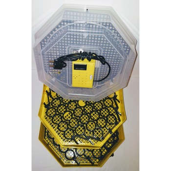 Incubator Cleo 5ETGH - cu etaj, termohigrometru digital si intoarcere semi-automata oua de gaina + cadou Ghid profesional incubare + asistent incubare Incubator Cleo 5ETGH - cu etaj, termohigrometru digital si intoarcere semi-automata oua de gaina + cadou Ghid profesional incubare + asistent incubare