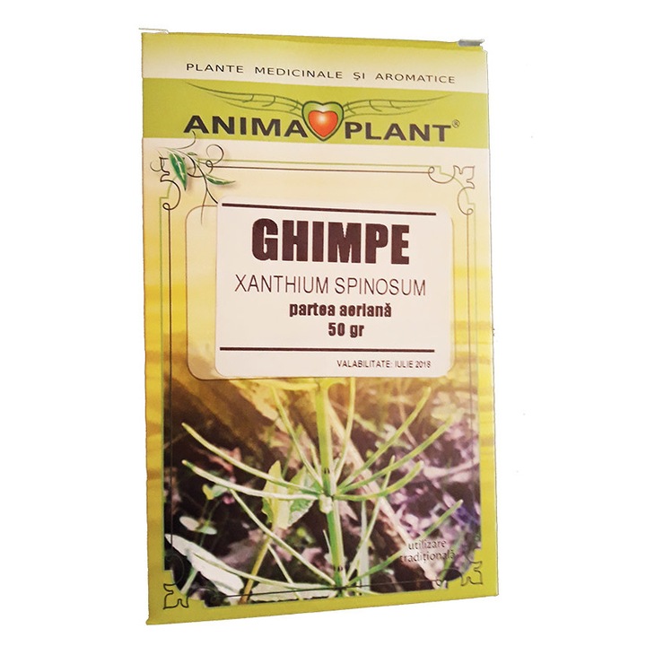 Ghimpe. Xanthium spinosum, partea aeriana, planta pentru ceai, 50 grame