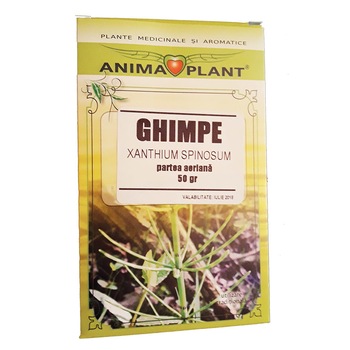 Ghimpe. Xanthium spinosum, partea aeriana, planta pentru ceai, 50 grame Ghimpe. Xanthium spinosum, partea aeriana, planta pentru ceai, 50 grame