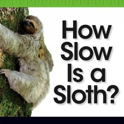 How Slow Is a Sloth?, Kurt Waldendorf (Author)
