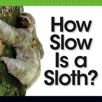 How Slow Is a Sloth?, Kurt Waldendorf (Author) How Slow Is a Sloth?, Kurt Waldendorf (Author)