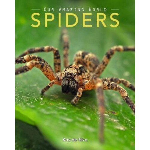 Spiders: Amazing Pictures & Fun Facts on Animals in Nature, Kay De Silva (Author)
