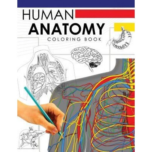 Human Anatomy Coloring Book: A Complete Study Guide (5th Edition), Dr William a. Douglas (Author)