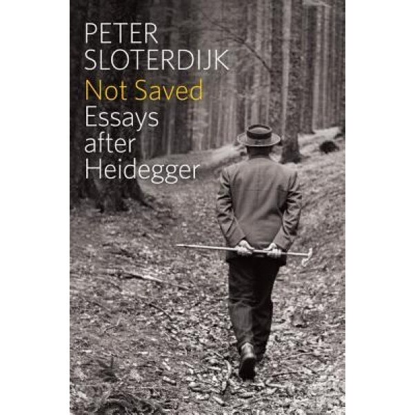 Not Saved: Essays After Heidegger, Peter Sloterdijk (Author)