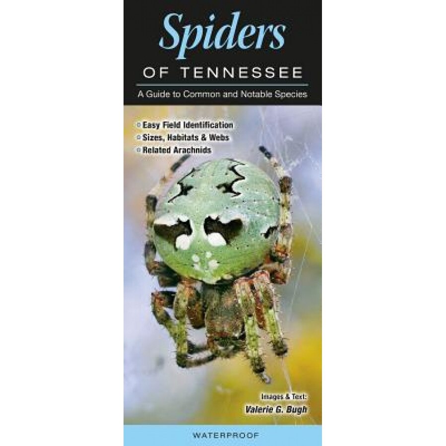 Spiders Of Tennessee A Guide To Common And Notable Species Valerie M