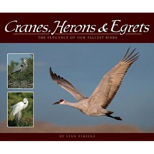 Cranes, Herons & Egrets: The Elegance of Our Tallest Birds, Stan Tekiela (Author)